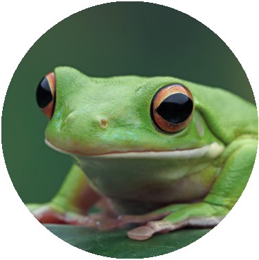 isaac gruender von vis wear